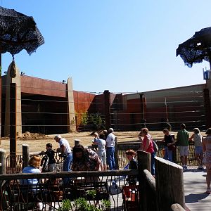 Tembo Trail-elephant yard