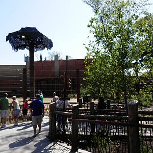 Tembo Trail-elephant yard