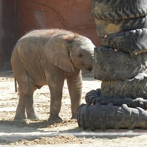 Lucas looking for snacks