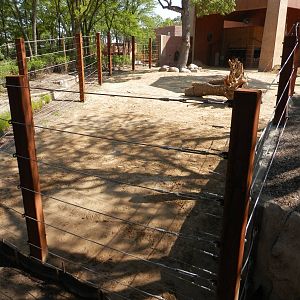 Tembo Trail-elephant yard