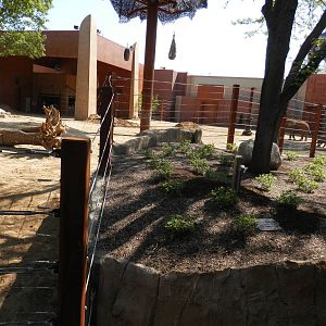 Tembo Trail-elephant yard