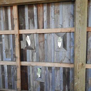 "Portholes" on deck to view hippo pool