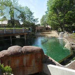 back view of hippoquarium
