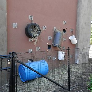 Enrichment holes visitor side