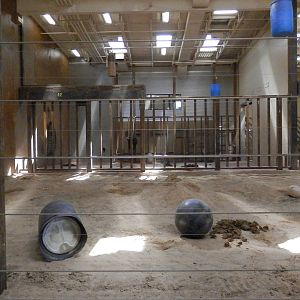 elephant indoor area