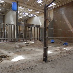 elephant indoor area