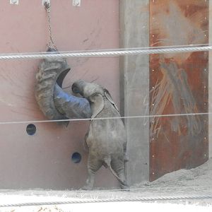 Lucas reaching for more snacks