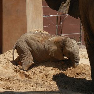 Lucas loves his sand piles!