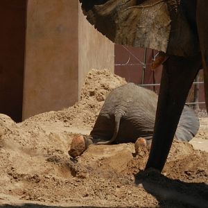 Lucas loves his sand piles