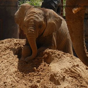 Lucas loves his sand piles