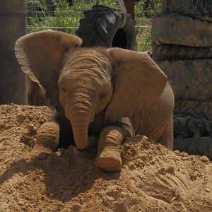 Lucas loves his sand piles