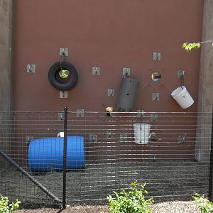 visitor view of "trunk holes"