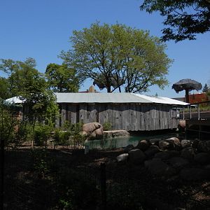 back of hippo, looking at deck, old giraffe roof to left
