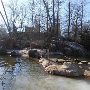 Bronx Zoo- Sea Bird Aviary- General View (In the Winter)
