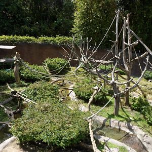 Swamp Monkey Exhibit