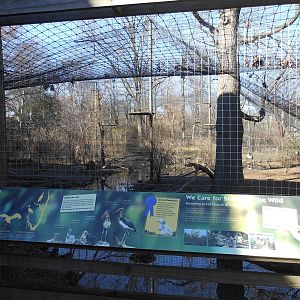 Bronx Zoo- Lesser Adjutant Exhibit Outside Sea Bird Aviary