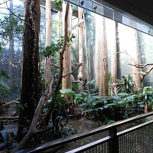 Bronx Zoo- Aquatic Bird House- Mixed Swamp Exhibit