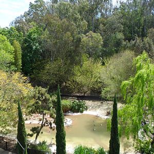 Waterfowl Exhibit from Raptors