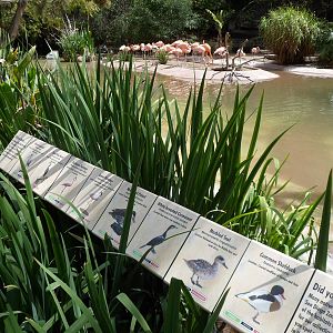 Waterfowl Signs