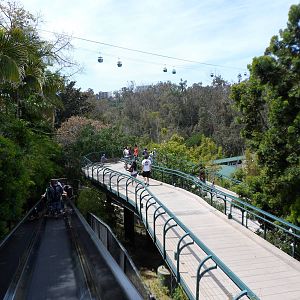 San Diego Zoo View