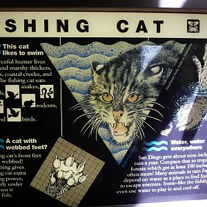 Fishing Cat Sign