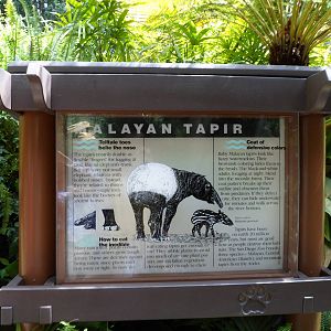 Malayan Tapir Sign