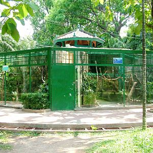 Small Carnivore Exhibit at Saigon Zoo, 16/03/12