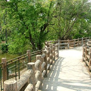 Ungulate Viewing at Saigon Zoo, 16/03/12