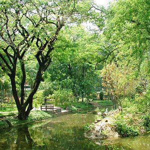 Lake with Langur Island at Saigon Zoo, 16/03/12