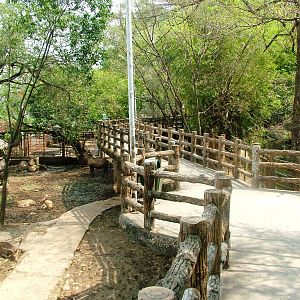Ungulate Viewing at Saigon Zoo, 16/03/12