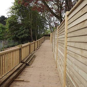 Iberian Wolf exhibit at Blackpool Zoo 19/05/12