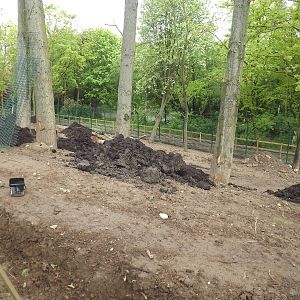 Iberian Wolf exhibit at Blackpool Zoo 19/05/12