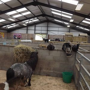 Children's Farm at Blackpool Zoo 19/05/12
