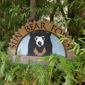 Sun Bear Forest Sign