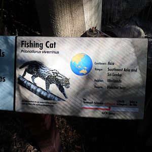 Fishing Cat Sign