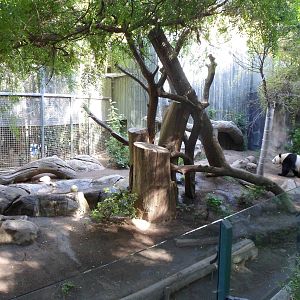Giant Panda Exhibit