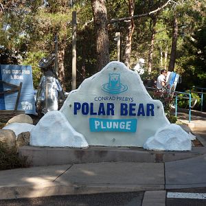 Polar Bear Plunge Sign