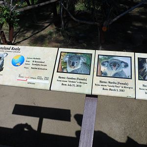 Koala Sign