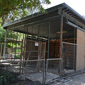 Steenbok Barn Renovation