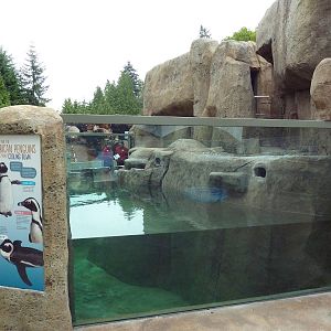 Penguin Point - Opened on May 18th, 2012