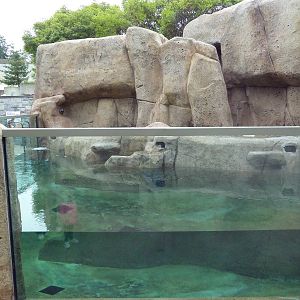 Penguin Point - Opened on May 18th, 2012