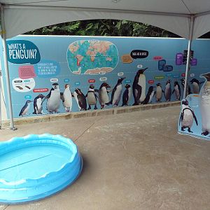 Penguin Point Signage - Opened on May 18th, 2012