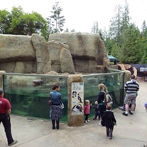 Penguin Point - Opened on May 18th, 2012