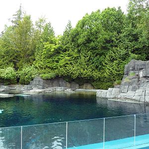 Beluga Whale Exhibit