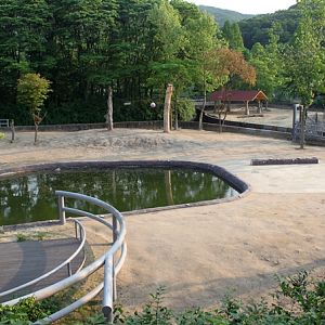 Asian elephant exhibit