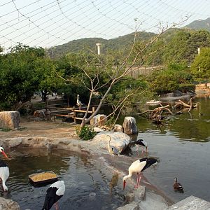 Large Waterfowl Aviary