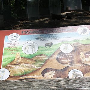 Hoofstock- Prairie Dog Town Signage