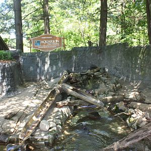 Alligator Alley- Part 1 of River Otter Exhibit