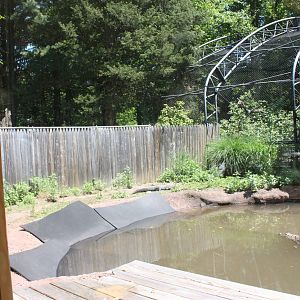 Alligator Alley- Part 1 of Alligator Exhibit