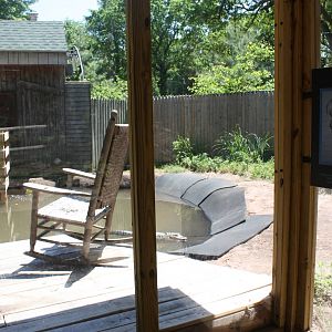 Alligator Alley- Part 3 of Alligator Exhibit